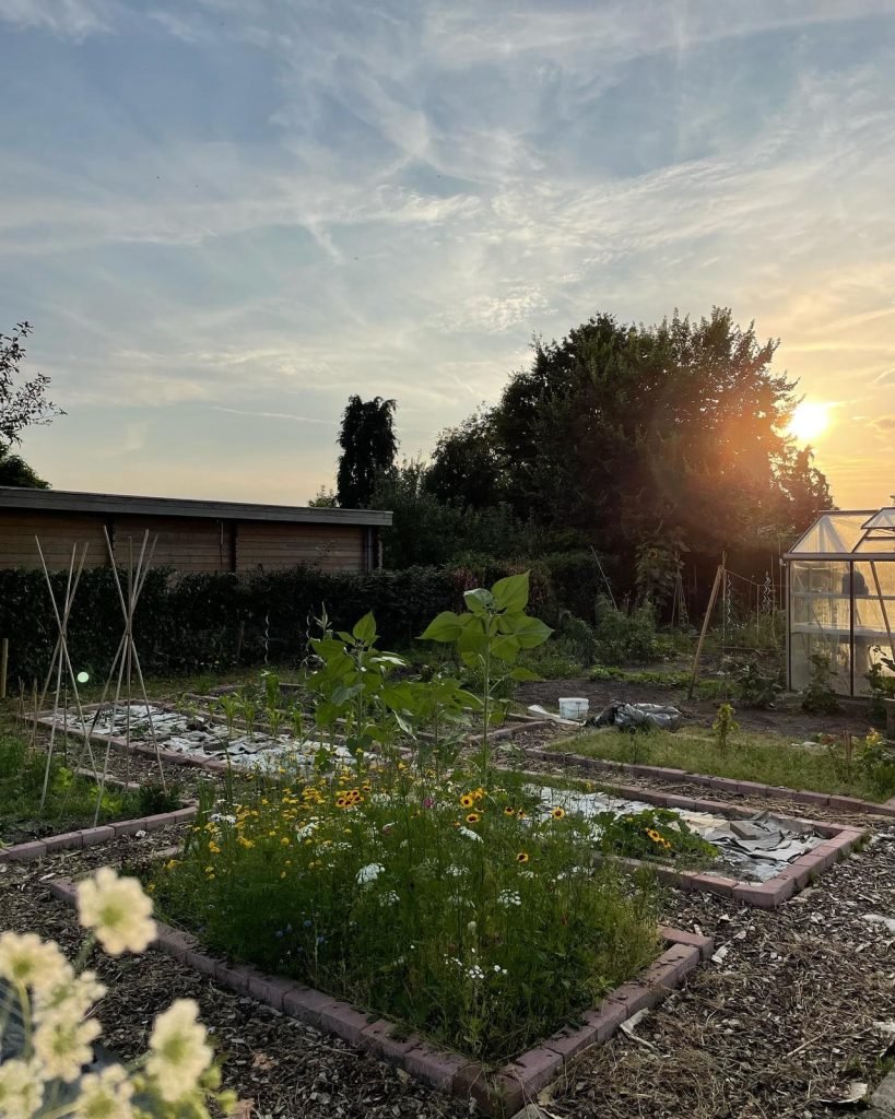 Moestuin homesteading nederland